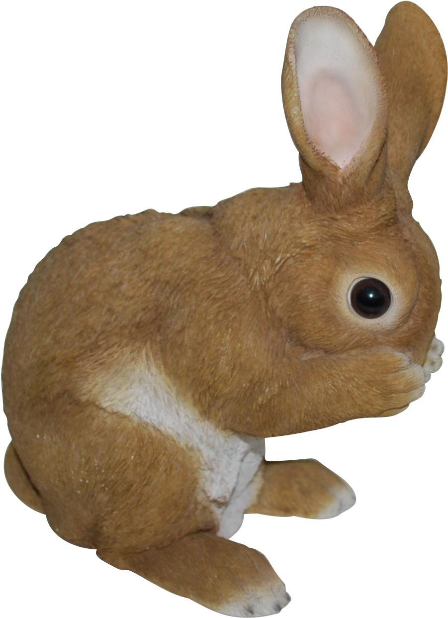 Rl Standing Rabbits D - Vivid Arts Real Life Standing Rabbit - Xrl-rb10-d (1548x1590), Png Download