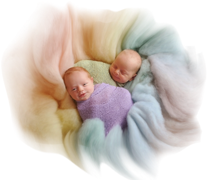 Website - Roots And Wings Photography (421x357), Png Download