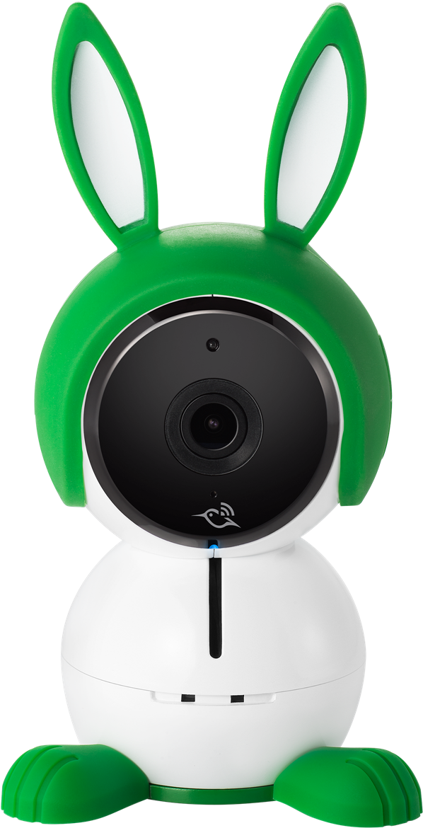 Arlo Baby Green Bunny Character - Arlo Baby (795x1188), Png Download