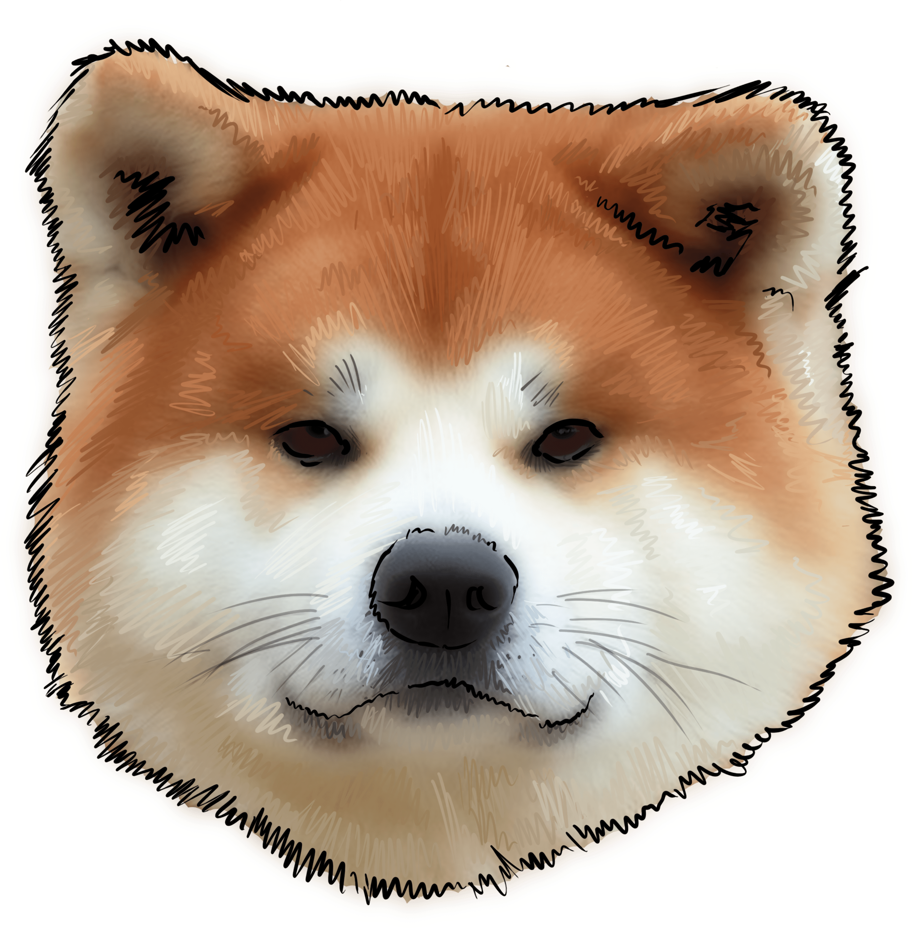 43 Why Are You An Akita - Cachorro De Akita Inu (3000x3000), Png Download