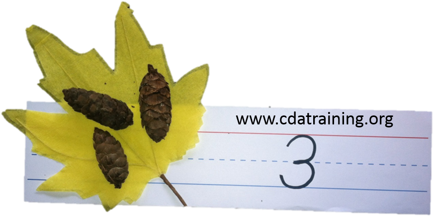 Math With Leaves And Pine Cones - Maple Leaf (898x623), Png Download