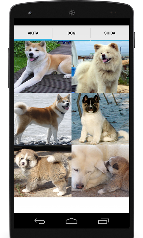 Akita Secrets: A Guide To Akita Training (480x800), Png Download