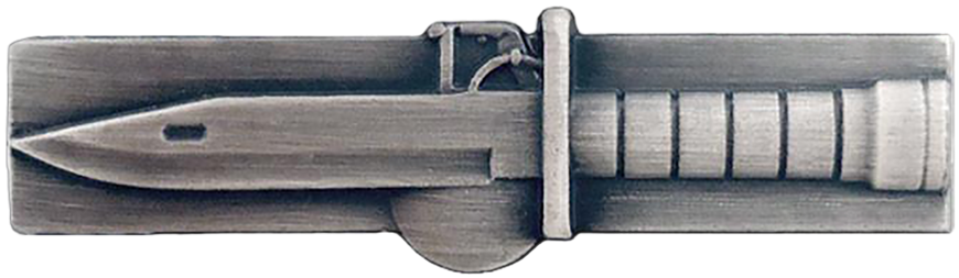 David Davenport, Command Sergeant Major Of Army Training - Army Miniature Combat Action Badge (900x580), Png Download