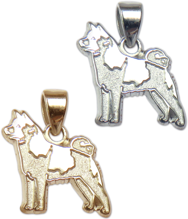 Akita Charm Or Pendant In Sterling Silver Or 14k Gold - Welsh Terrier (900x900), Png Download