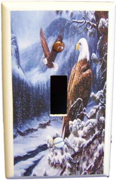 Got You Covered Eagle Snow Top Rocky Mountains Pine - Snow (600x450), Png Download