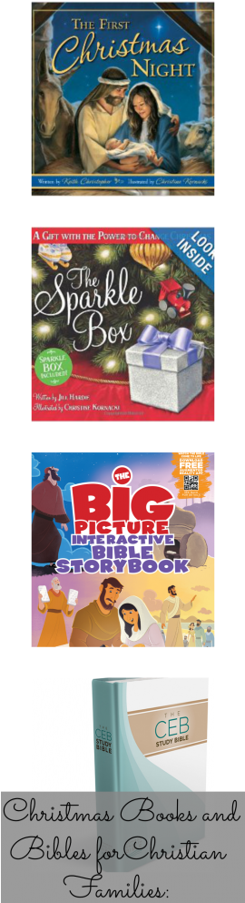 Christmas Books And Bibles For Christian Families - Big Picture Interactive Bible Storybook: Connecting (269x1024), Png Download