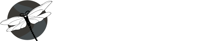 Win From Within By Beverly Lewis (890x207), Png Download