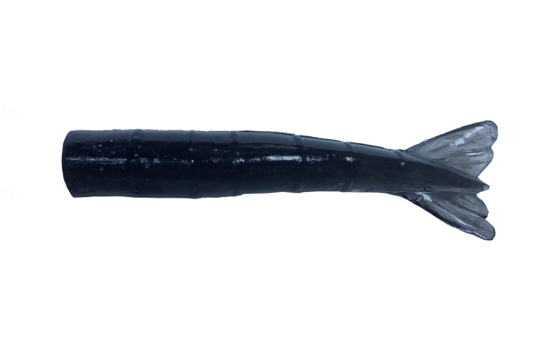 Shrimp Tails - Beloniformes (800x500), Png Download