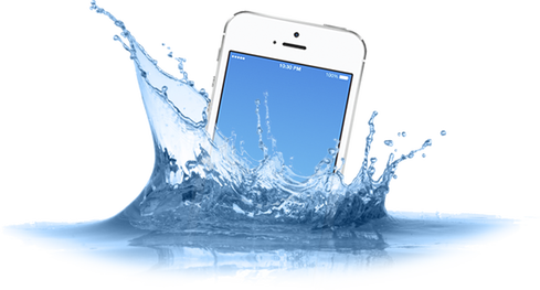 Don't Lose Everything When You Drop Your Phone Or Laptop - Bronson Vitamins Eblume Collagen-elastin 14:1 Cream (489x263), Png Download