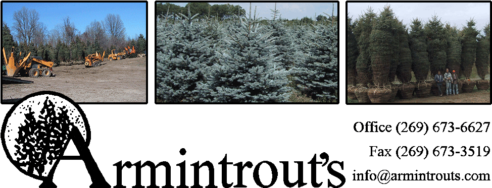 Coniferous Evergreen Tree Farm In Michigan Midwest - Michigan (1000x400), Png Download