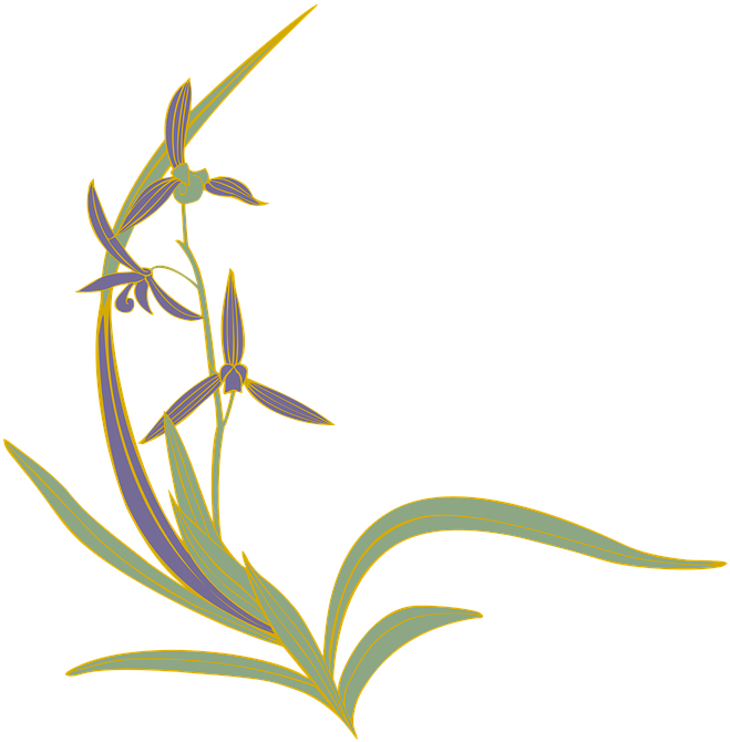 Orchid, Oriental Orchid, Flowers, Japanese Style - Orchid In Japanese (720x720), Png Download