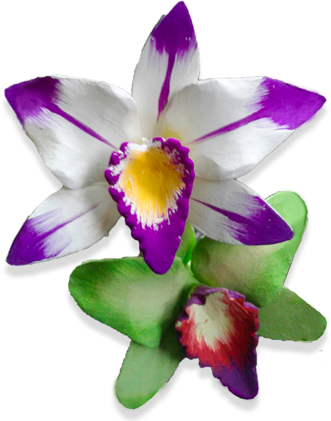 Wooden Orchid Flower - Orchids (600x600), Png Download