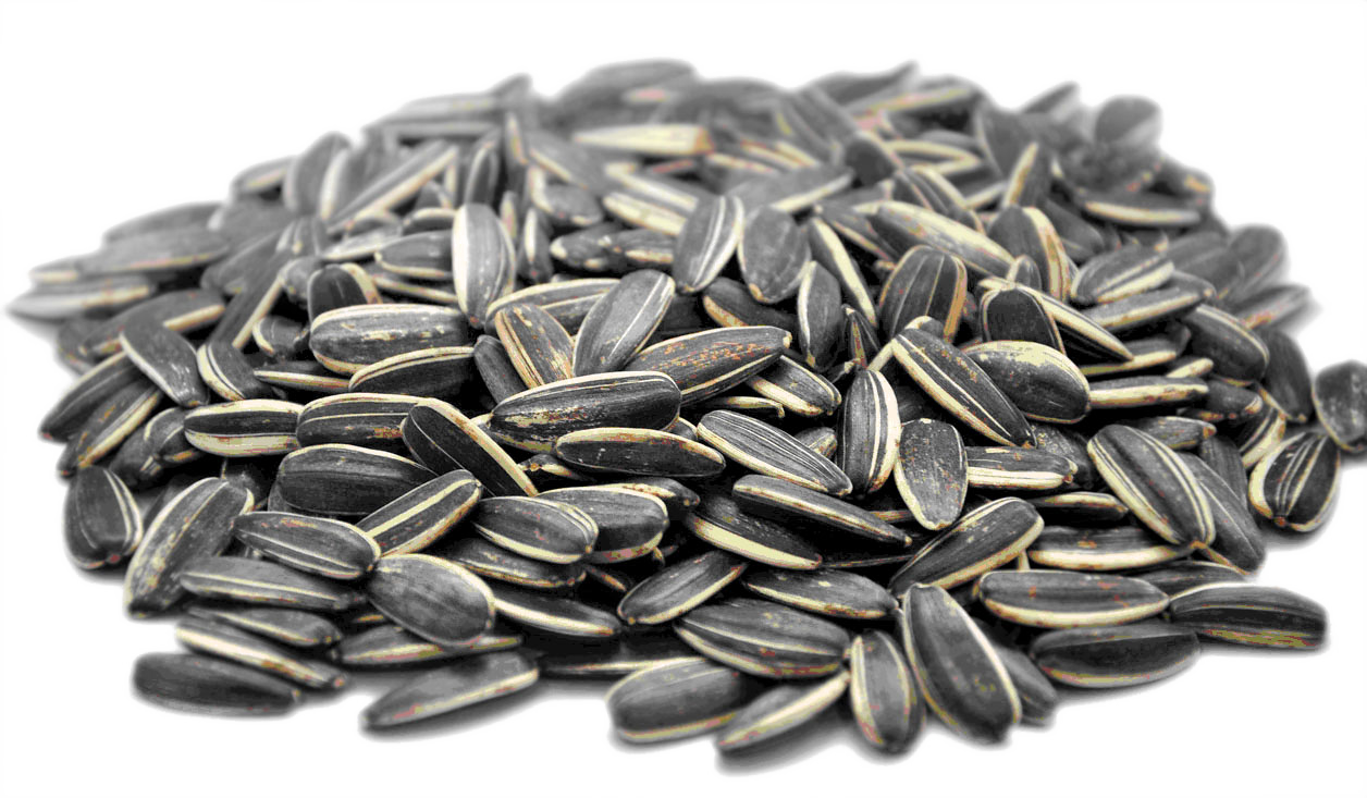 Sunflower Seeds Resolution - Sunflower Seeds Calories (1256x733), Png Download