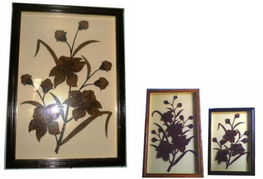 Syzygium Aromaticum (518x353), Png Download