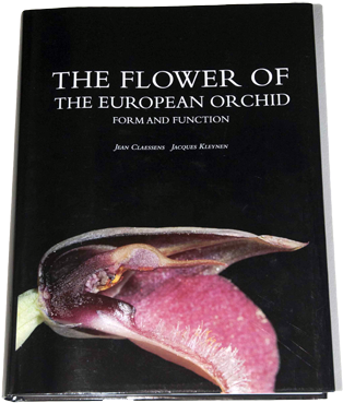 "the Flower Of The European Orchid - Flower Of The European Orchid: Form (351x449), Png Download