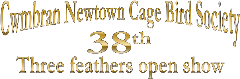 Prize Mugs - Pub - Cinderford - Cropped - Show Poster - Calligraphy (854x291), Png Download