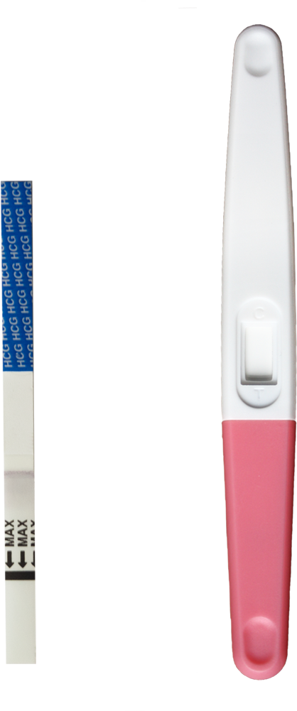 The Gallery For > First Response Positive Pregnancy - 2 Euro Shop Pregnancy Test (1000x1000), Png Download