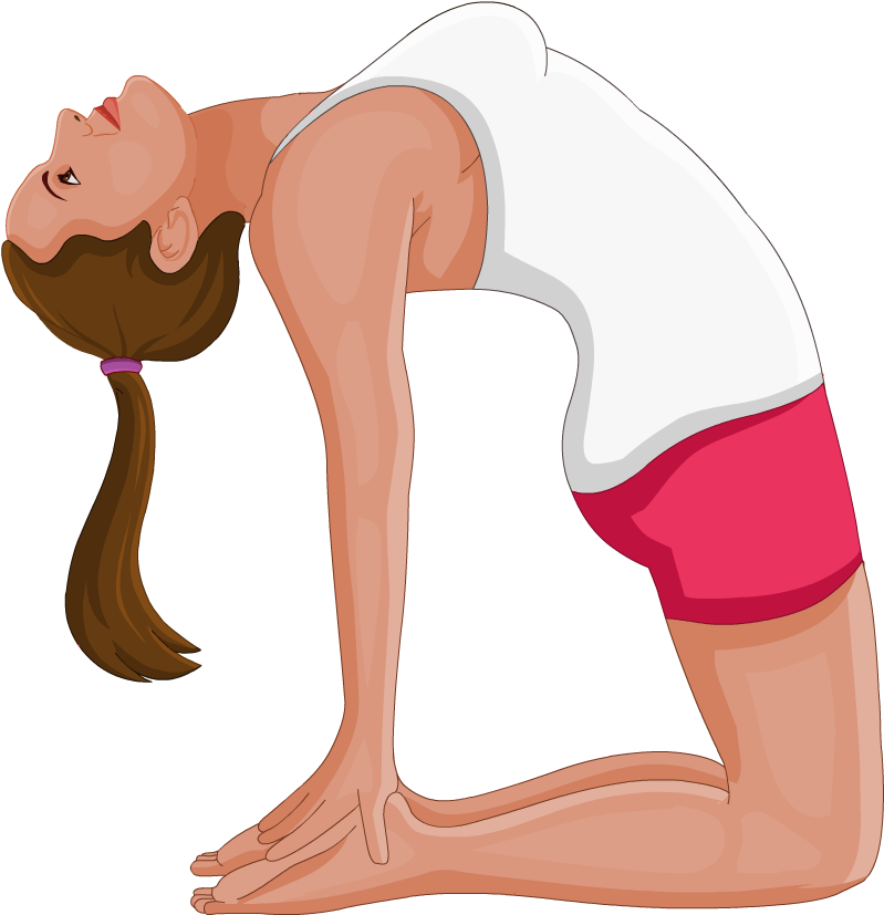 Camel Pose - Camel Pose Png (1024x1024), Png Download
