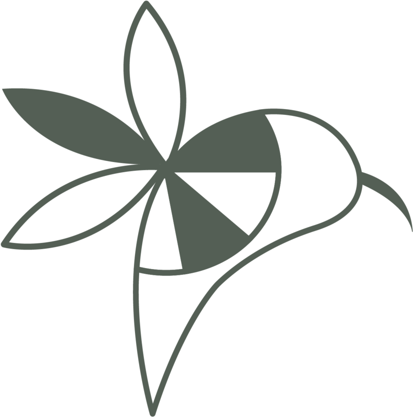 Colibri Web Deliverables-06 - Design (1000x915), Png Download