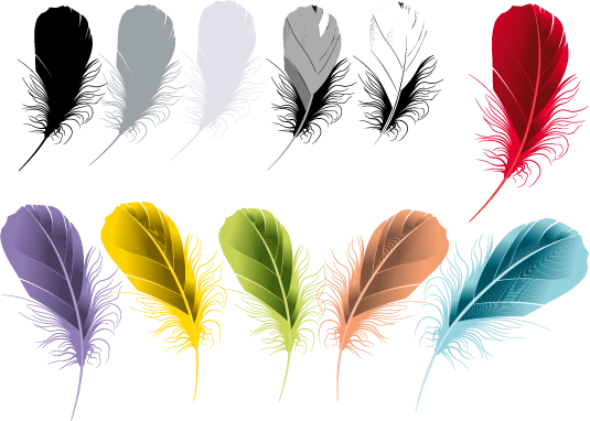 Las Plumas Son Estructuras Queratinosas De La Piel - Feather Vector (535x382), Png Download