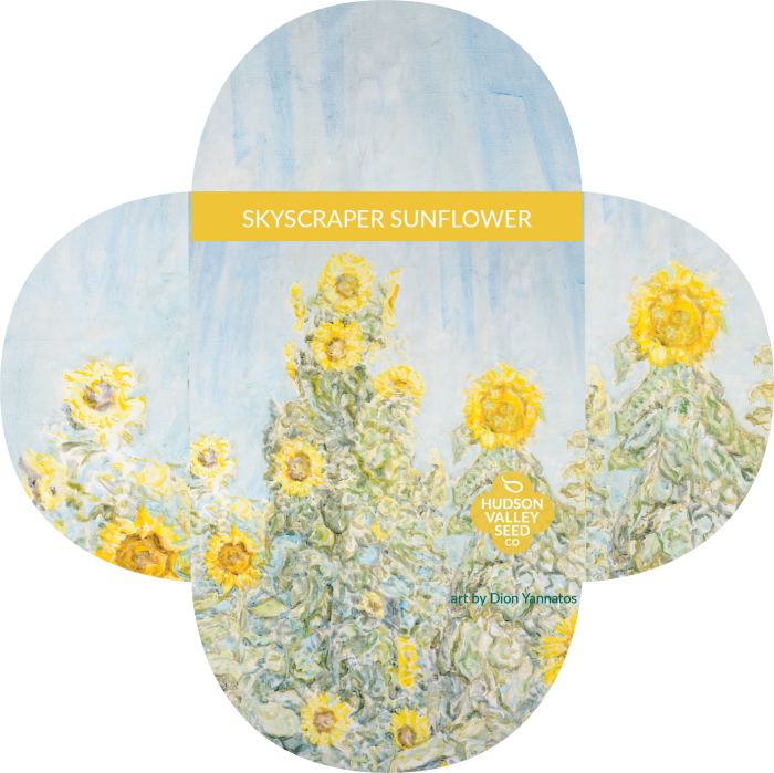 Skyscraper Sunflower - Henry Field's Seed & Nursery Company Skyscraper (700x699), Png Download