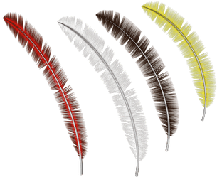 Colección De Plumas - Feather (400x400), Png Download