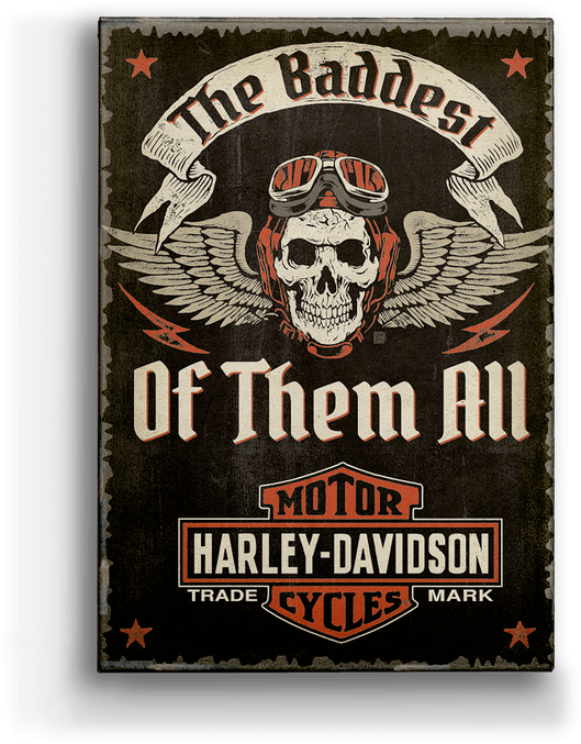 Harley-davidson® Winged Skull - Harley-davidson 60"x80" Plush Blanket (730x730), Png Download