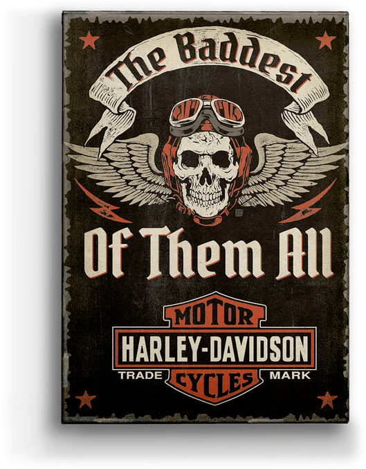 Harleydavidson® Winged Skull Harleydavidson 60"x80" Plush Blanket
