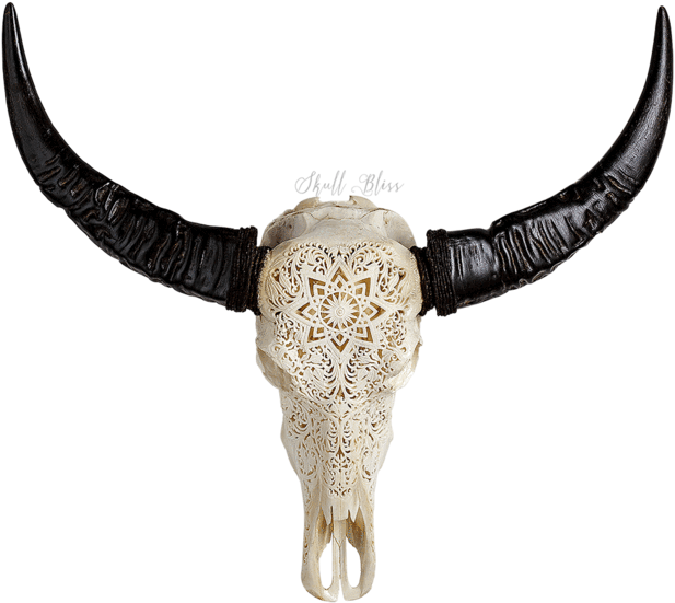 Carved Buffalo Skull - Skull (600x600), Png Download