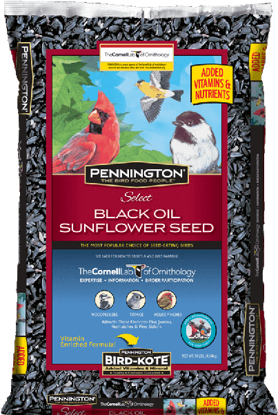 Pennington Select Black Oil Sunflower Seed Wild Bird (600x600), Png Download