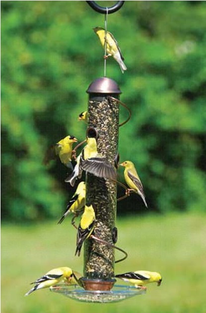 Image - 17 Inch Copper Spiral Sunflower Feeder (800x800), Png Download