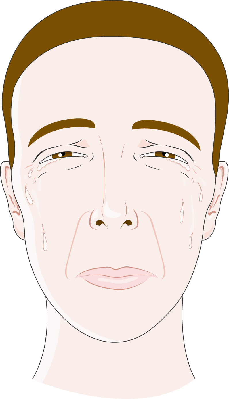 Download The Image Download The Entire Set - Illustration (796x1388), Png Download
