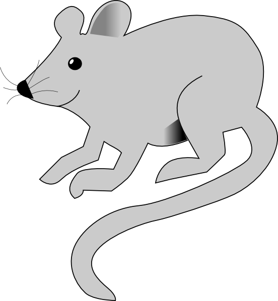 Cute Gray Mouse - Rat Animation (552x598), Png Download