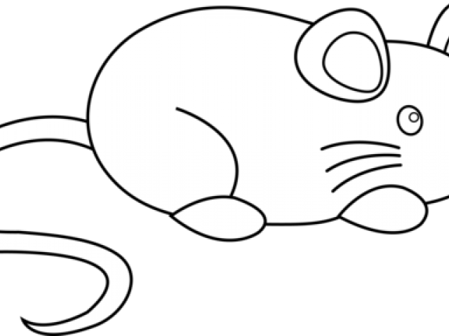 Cute Mouse Cliparts - Rat (640x480), Png Download