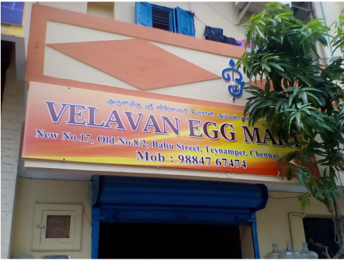 White Egg - Velavan Egg Mart (500x500), Png Download