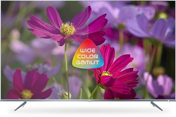 Picture Quality Wide Color Gamut - Tcl P66 Series Dp660 (586x451), Png Download