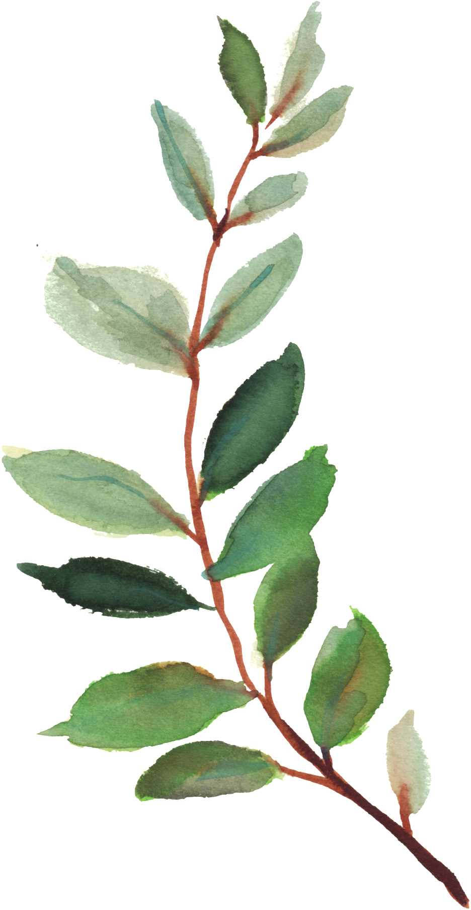 Watercolor Vector - Moderne Botanischer Garten-hochzeits-einladung Karte (1024x1889), Png Download