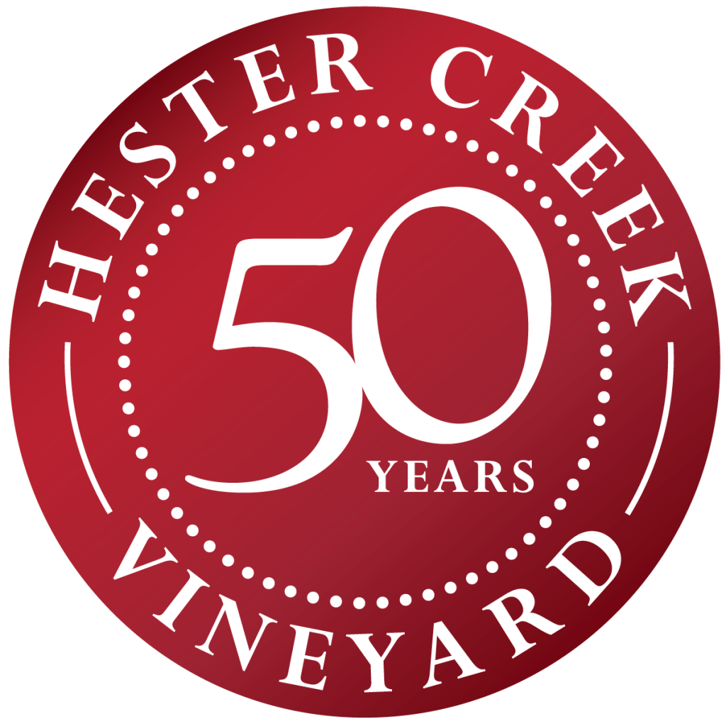 Hc 50th Bug Gradient No Tab - Kansas City Irish Fest (1024x1024), Png Download