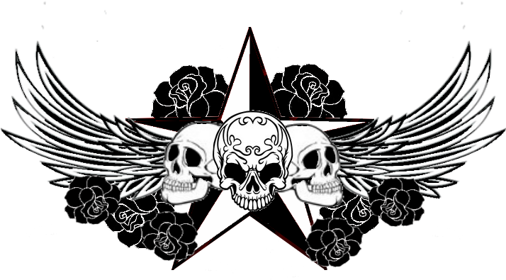 I'm A Biker, And I'm A Woman, Who Was Raised By My - Mc Chronicles: The Diary Of Bink Cummings [book] (800x600), Png Download