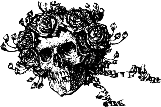 And The Music Of The Grateful Dead - Devils Demons And Witchcraft Book (577x402), Png Download