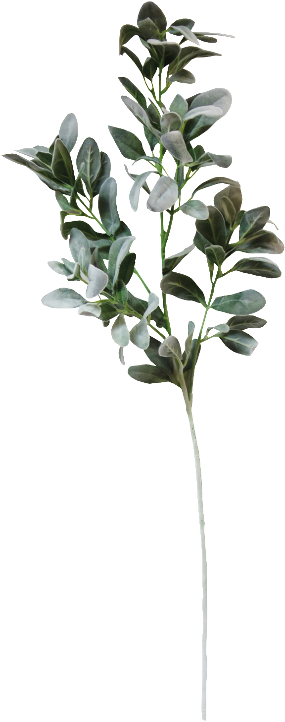 Snow Green Flower Branch Cartoon Transparent - Woodland Animals Wedding Invitations (1024x1536), Png Download