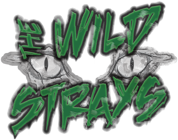 The Wild Strays Are A Four Piece Punk / Rock / Metal - Illustration (608x480), Png Download