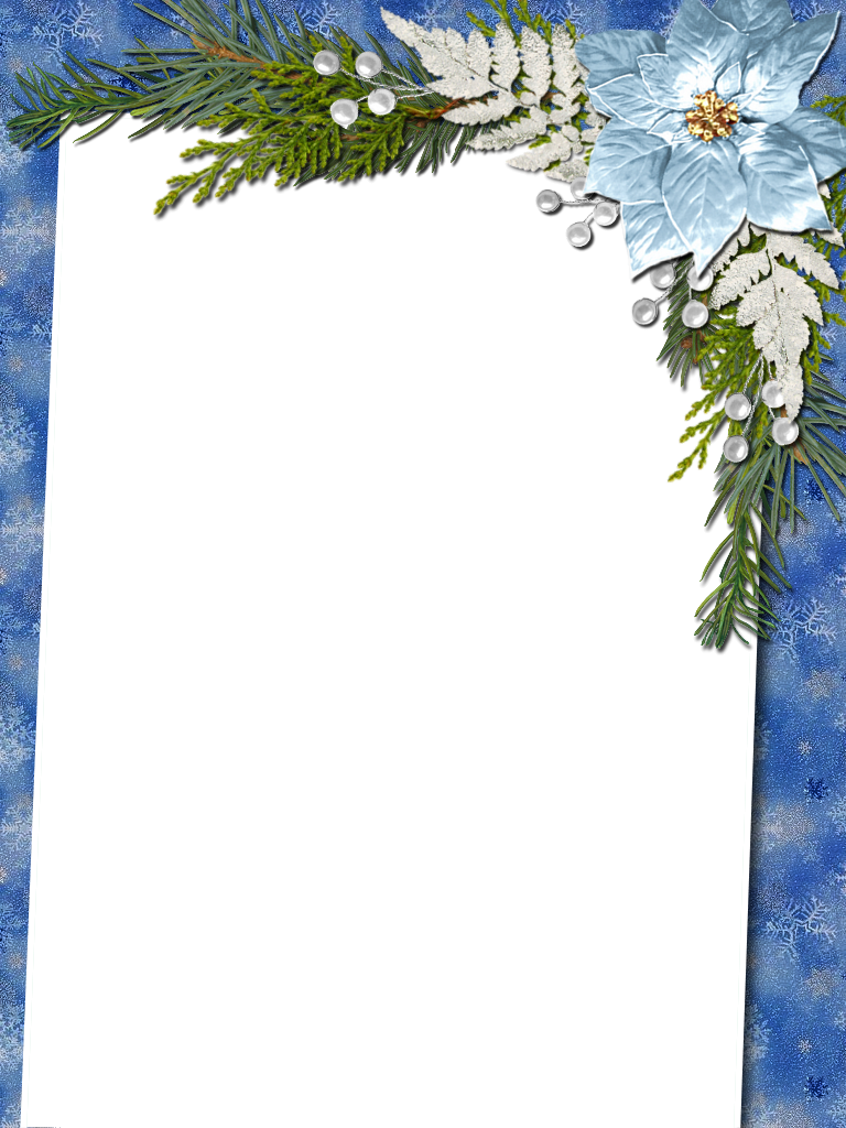 Pin By Mária Pospíšilová On My Christmas Png Frames - Heath Aster (768x1024), Png Download