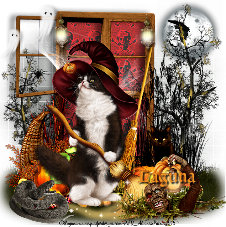 You Can Purchase Here - Illustration (800x800), Png Download