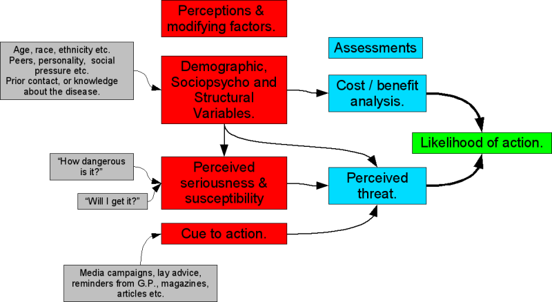 Healthbeliefmodel - Health Seeking Behaviour Model (800x438), Png Download