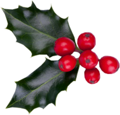 Christmas Berries Psd - Christmas Berries (400x384), Png Download