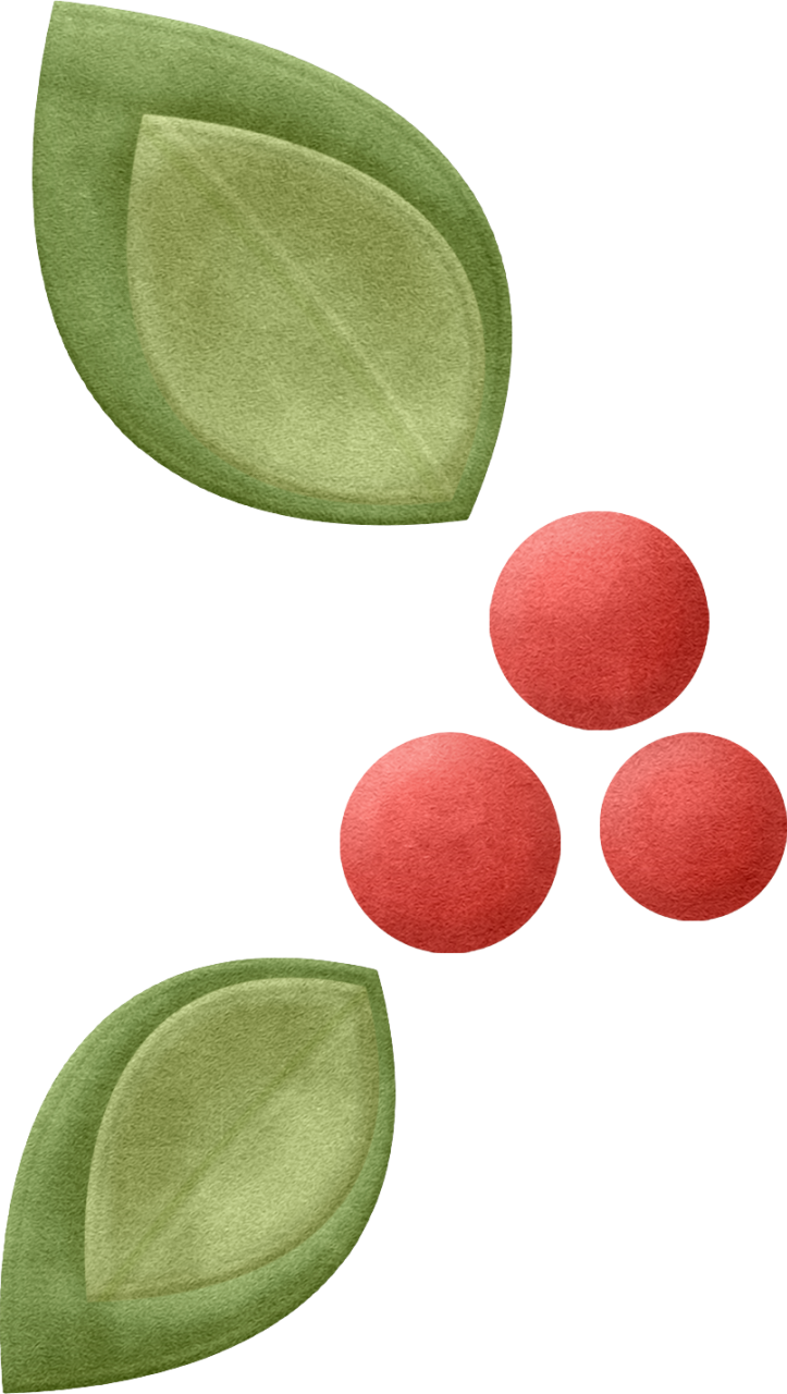Christmas Berries And Leaves - Christmas Day (723x1280), Png Download