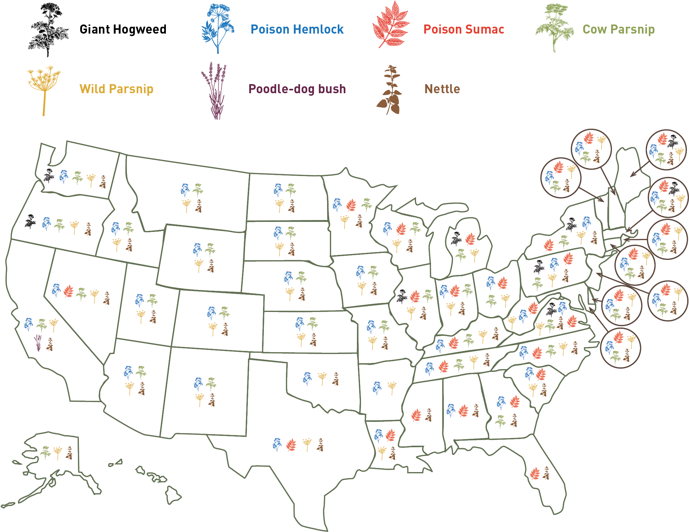 Hazardous Plant Map Sidebar - Underground Facilities (2238x1767), Png Download