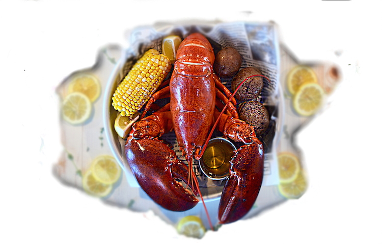 Station House Lobster Dinner In Palm Beach County - Insect (750x478), Png Download