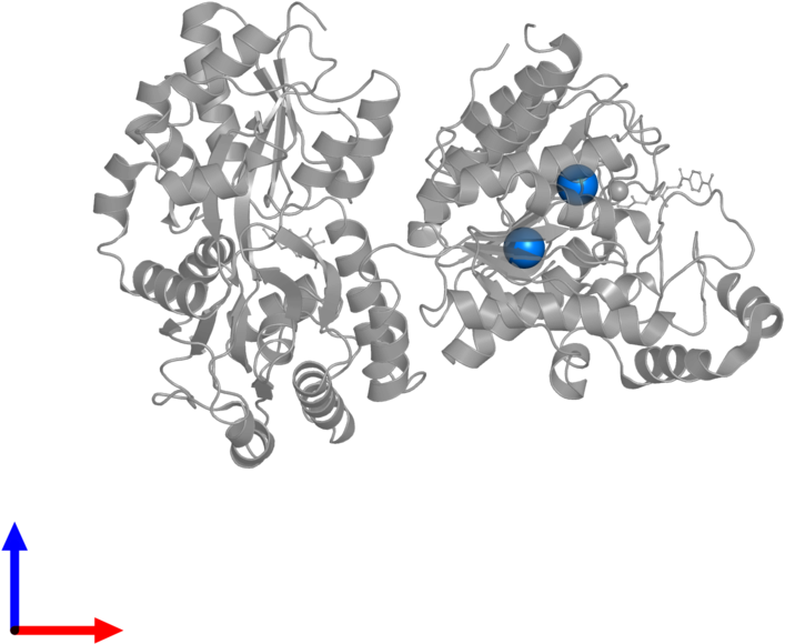 <div Class='caption-body'>pdb Entry 5edu Contains 2 - Earrings (800x800), Png Download